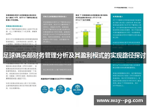 足球俱乐部财务管理分析及其盈利模式的实现路径探讨
