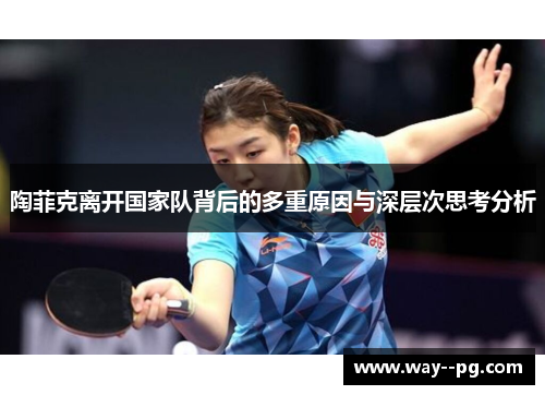 陶菲克离开国家队背后的多重原因与深层次思考分析